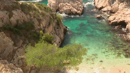 Surtourisme : dans la calanque de Sugiton, la nature reprend progressivement ses droits (France 2)