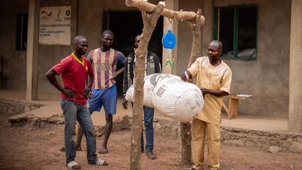 Devant le hangar de stockage, chacun des sacs est pesé. Leur poids varie entre 35 et 45 kilos. Dans la ville, ils sont vendus environ 10 000 francs CFA – autour de 15 euros –, bien loin des prix pratiqués à Bangui. "Dans la capitale, les prix tournent entre 20 000 et 30 000 francs CFA" pour un sac d'arachides décortiquées, affirme à l’AFP Jean-Paul Ndopaye, responsable des stocks d'arachides et président de l'Union des riziculteurs de Paoua et des producteurs locaux. (BARBARA DEBOUT / AFP)