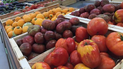 Le rayon fruits et légumes au Mas des agriculteurs à Nîmes dans le Gard. (ROMAIN BERCHET / FRANCE-BLEU GARD LOZÈRE)