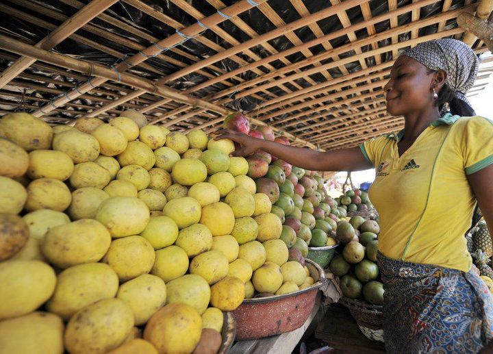 Vendeuse de mangues sur la route reliant Abdijan à Yamoussoukro (Côte d'Ivoire) (AFP PHOTO/ SIA KAMBOU)