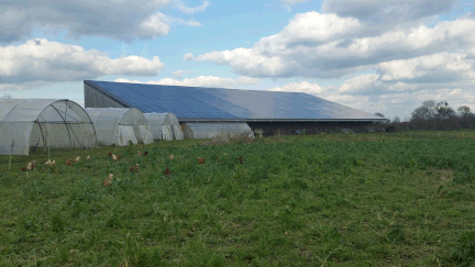  (L'immense panneau photovoltaïque de la "ferme autonome" de Gilles Simonneaux à Chavagne, près de Rennes © RF / Raphaël Ebenstein)