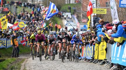 Le peloton du Tour des flandres féminin le 1er avril 2018. (DAVID STOCKMAN / BELGA MAG / AFP)