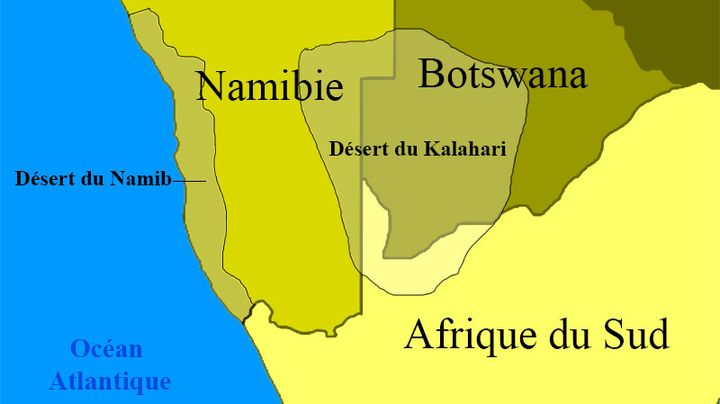 La Namibie est enserrée entre deux déserts : celui du Namib, considéré comme le plus vieux désert du monde, et celui du Kalahari qui déborde du Botswana voisin. (franceinfo Afrique)