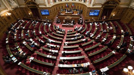 Le Sénat en février 2018. (GARO / PHANIE / AFP)