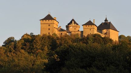 Le château de Malbrouck à Manderen, en Moselle (30/09/2011)
 (Mattes René / Hemis.fr / AFP)