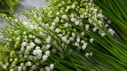 Des&nbsp;bouquets de muguet. Photo d'illustration. (JOSSELIN CLAIR / MAXPPP)