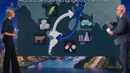 Colère des agriculteurs : en quoi l’accord UE-Mercosur est défavorable à la France ?