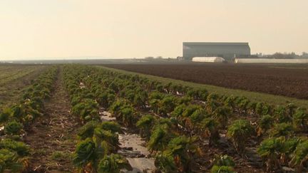 Les agriculteurs ne sont pas épargnés par les phénomènes climatiques comme la sécheresse, le gel et les fortes pluies. L'État encourage donc les exploitants à contracter des assurances. La réforme de la gestion des risques est entrée en vigueur au début de l'année 2023.