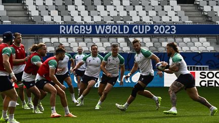 L'équipe d'Irlande en entraînement, le 8 septembre 2023, Bordeaux (Gironde). (PHILIPPE LOPEZ / AFP)