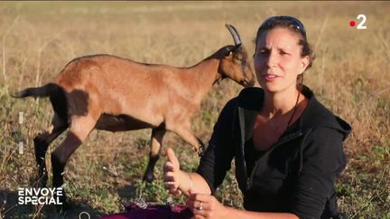 Envoyé spécial. Les nouveaux visages de nos campagnes (ENVOYÉ SPÉCIAL  / FRANCE 2)