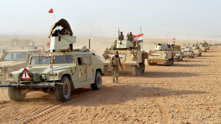 Les forces irakiennes après la reprise de la ville de Rawa, la dernière ville détenue par le groupe Etat islamique en Irak, le 17 novembre 2017.&nbsp; (OSAMAH WAHEEB / REUTERS)