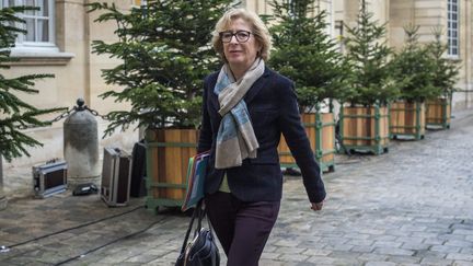 La secr&eacute;taire d'Etat charg&eacute;e de l'Enseignement sup&eacute;rieur et de la Recherche, Genevi&egrave;ve Fioraso, le 8 janvier 2015 &agrave; Matignon,&nbsp;&agrave; Paris. (MAXPPP)