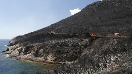 Des camions de pompiers le long du Cap Corse, entre Sisco et Corbara (Haute-Corse), le 12 août 2017. (PASCAL POCHARD-CASABIANCA / AFP)