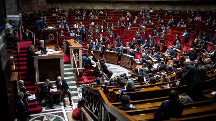 Une séance de questions au gouvernement à l'Assemblée nationale (Paris), le 22 novembre 2022.&nbsp; (XOSE BOUZAS / HANS LUCAS / AFP)