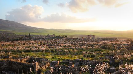 Volubilis est un site touristique très prisé, avec en moyenne 200.000 visiteurs par an, depuis l'ouverture d'un musée en 2013. En 2017, leur nombre a atteint 300.000. Un record. (MANUEL COHEN/AFP)