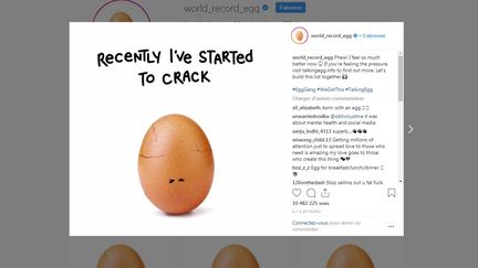 Capture d'écran du compte Instagram du "World record egg", le 5 février 2019. (WORLD RECORD EGG / INSTAGRAM)