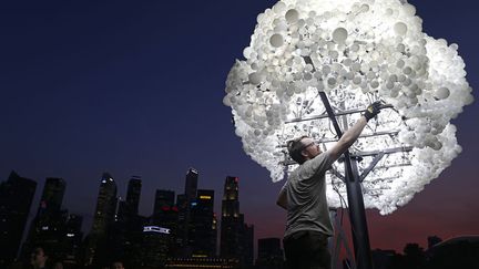 L'artiste canadien Wayne Garrett met la touche finale &agrave; son oeuvre "CLOUD" compos&eacute;e de 5 000 ampoules sur le port de Singapour, le 5 mars 2014. (EDGAR SU / REUTERS)