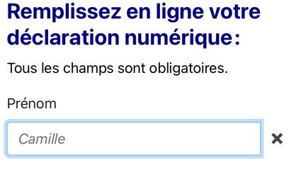 Pour ce second confinement, Le prénom "Jean" est remplacé par "Camille" dans la fenêtre prénom sur l'attestation de déplacement. (CAPTURE D'ECRAN ATTESTATION DE DEPLACEMENT)