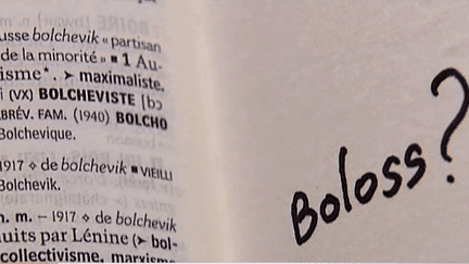 "Bolos" entrera-t-il dans l'édition 2014 du Petit Robert ?
 (France2 / Culturebox capture d&#039;écran)