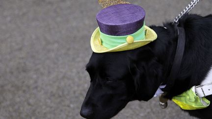 Mais au fait, qu'en est-il du dress-code canin ? (STEFANO RELANDINI / REUTERS)