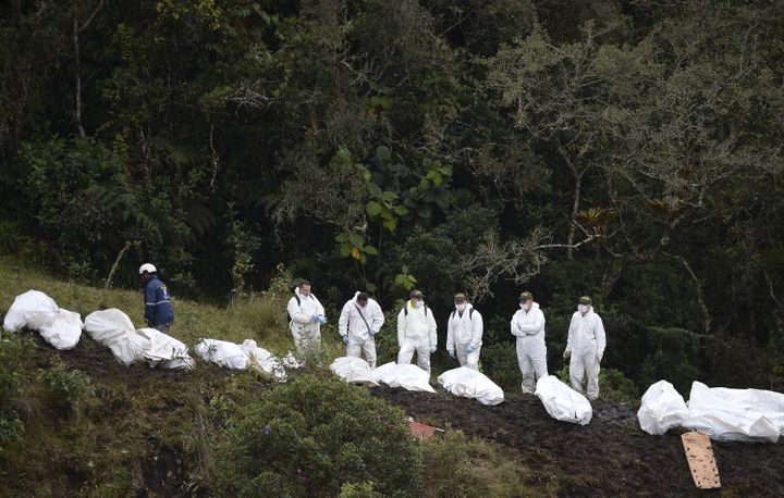 Des corps des victimes sont alignés par des secouristes sur le site du crash, le 29 novembre 2016, à La Union (Colombie). (RAUL ARBOLEDA / AFP)