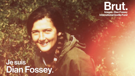 Dian Fossey