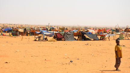 Un camp de r&eacute;fugi&eacute;s maliens dans l'ouest du Niger, le 4 f&eacute;vrier 2012. (BOUREIMA HAMA / AFP)