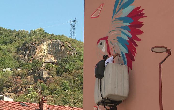 Venu de Paris, Daco déploie des oiseaux sur les murs de l'hôpital. (D. Semet / France Télévisions)