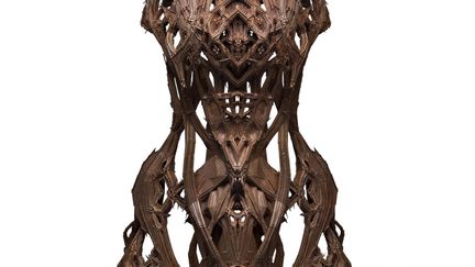 De sa démarche expérimentale, Iris Van Herpen exploite la 3D. Avec des architectes et des professionnels de la conception numérique, elle aboutit à des créations surprenantes par modélisation puis impression en relief.
 (Bart Oomes, N°6 Studios)