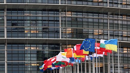 Le Parlement européen, à Strasbourg, le 6 février 2024. (FREDERICK FLORIN / AFP)