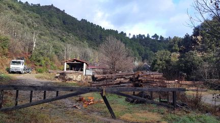 La scierie des Plantiers, dans les Cévennes, le 18 janvier 2024. (PHILIPPE THOMAIN / FRANCE BLEU GARD LOZERE / MAXPPP)