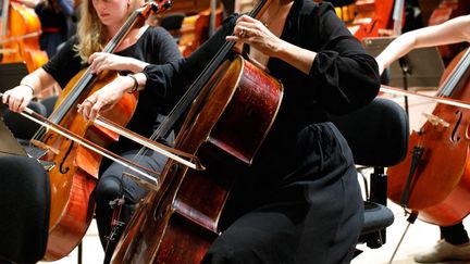 Les musiciens indépendants signataires de la tribune alertent sur l'arrêt de leurs sources de revenus. (photo d'illustration) (MATHIEU GÉNON / RADIO FRANCE)