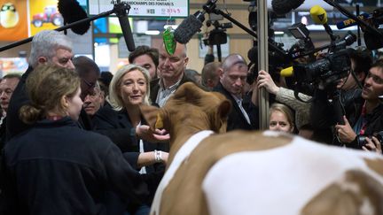 La pr&eacute;sidente du Front national, Marine Le Pen, au Salon de l'agriculture, &agrave; Paris, le 2 mars 2014. (MARTIN BUREAU / AFP)