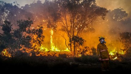 Un pompier australien&nbsp;lors d'un&nbsp;feu de forêt près de Margaret River, le 8 décembre 2021. (SEAN BLOCKSIDGE / WESTERN AUSTRALIA DEPARTMENT OF FIRE AND EMERGENCY SERVICES / AFP)