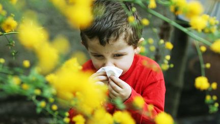 Un enfant allergique au pollen. (MAXPPP)