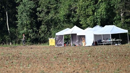 Des fouilles à Rouvray (Yonne), dans le "cimetière d'Emile Louis", le petit bois où plusieurs victimes du tueur en série ont été découvertes, le 24 septembre 2024. (MARION BOISJOT / MAXPPP)