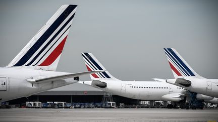 Des avions de la compagnie Air France, à l'aéroport Paris-Charles-de-Gaulle, le 11 avril 2018. (PHILIPPE LOPEZ / AFP)