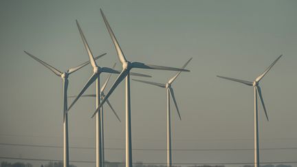 Un champ d'éoliennes à Fruges (Pas-de-Calais).
 (PHILIPPE HUGUEN / AFP)