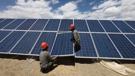 Des employ&eacute;s chinois installent des panneaux&nbsp;photovolta&iuml;ques &agrave;&nbsp;Aleteng (Chine), le 14 juillet 2013. (LAN SHANG / IMAGINECHINA / AFP)