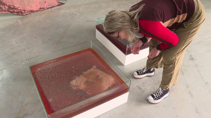 Anne-Marie Maes observe la peau qui se forme dans l'un des bassins exposés à la Kunsthalle. (France 3 Alsace)