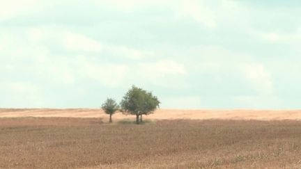 Sécheresse : les restrictions d’eau se durcissent, les contrôles se multiplient