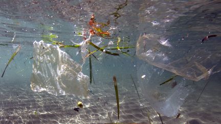 Des déchets plastiques en mer Méditerranée, près de Marseille (Bouches-du-Rhône), le 30 mai 2019.&nbsp; (BORIS HORVAT / AFP)