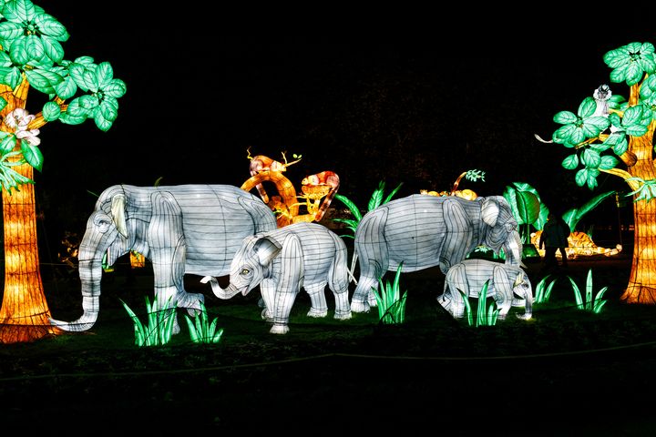 Cinquième édition du parcours "En voie d’illumination" organisé par le Muséum national d’Histoire naturelle de Paris au Jardin des Plantes, le 17 novembre 2023. (DIMITAR DILKOFF / AFP)