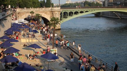 "Paris-Plage" sur les quais de Seine en 2013.&nbsp; (MANUEL COHEN / MANUEL COHEN)