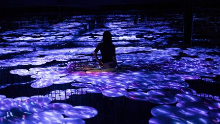 Des flots virtuels inventés par le collectif teamLab, dans leur nouveau musée qui ouvrira en juin à Tokyo
 (Behrouz Mehri / AFP)