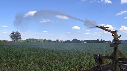 L'arrosage d'un champ à Beuvry, dans le Pas-de-Calais. (DENIS CHARLET / AFP)