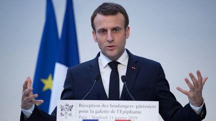 Emmanuel Macron, le 11 janvier 2019 à l'Elysée, à Paris. (POOL NEW / X80003)