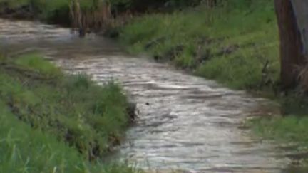 Inondations : les zones humides, la solution efficace pour lutter contre ce fléau ?