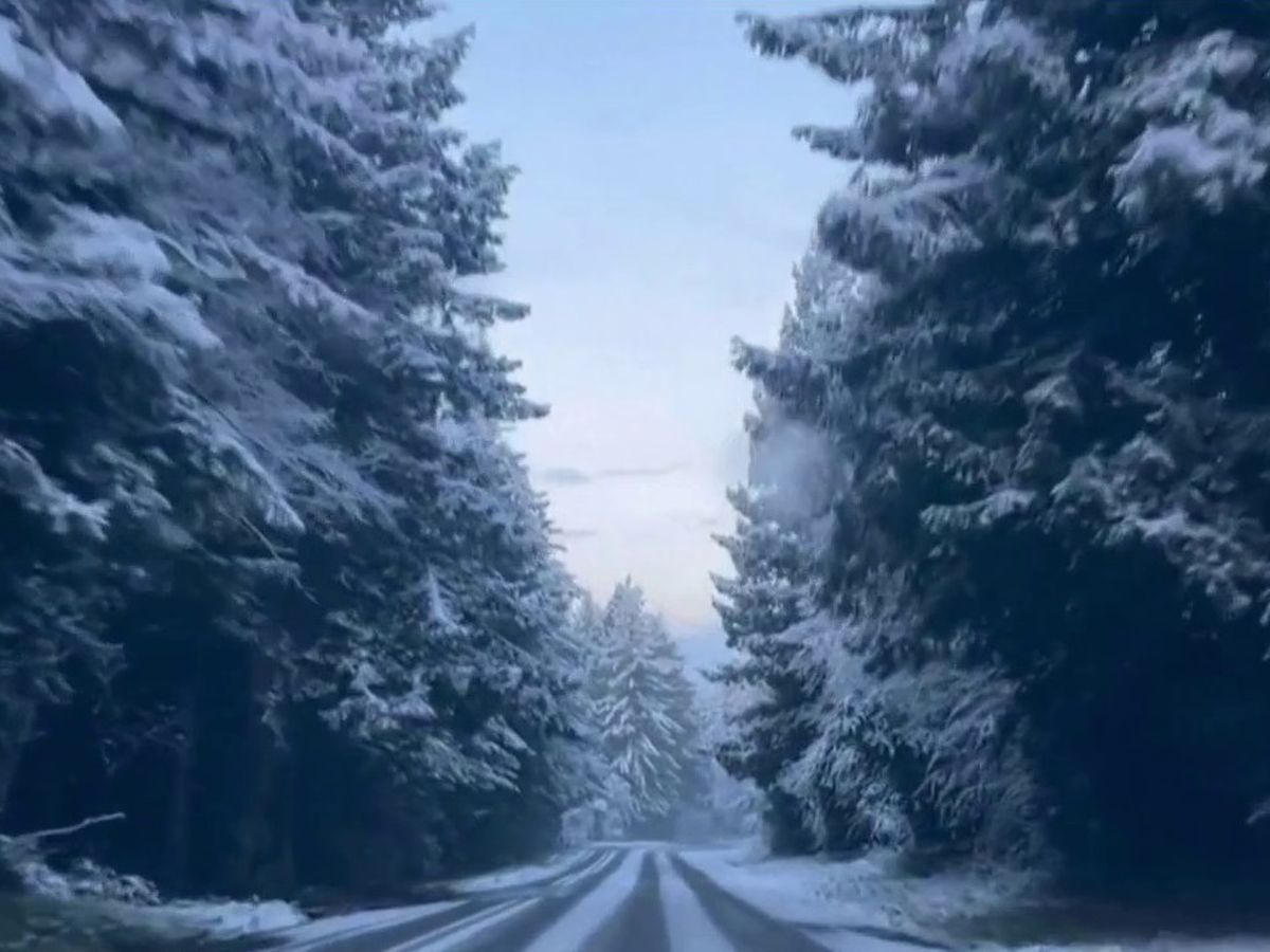 La Californie touchée par l'une des pires tempêtes de neige depuis