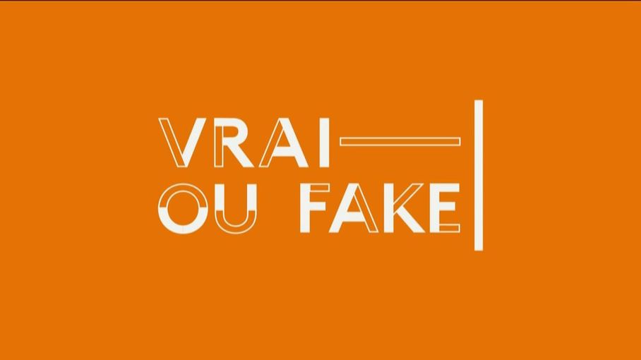 "Vrai Ou Fake", L'émission Du Jeudi 23 Janvier 2020